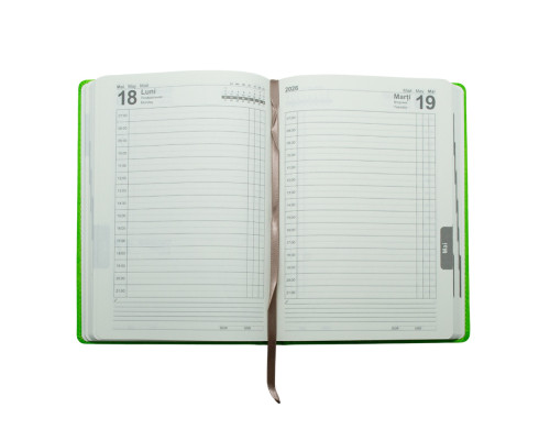 Agenda A5 datata 2026, Clasica, verde deschis, *4461(60)