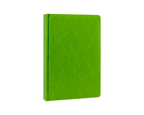 Agenda A5 datata 2025, Clasica, verde deschis, (60) Agenda A5 datata 2025, Clasica, verde deschis, (60)
