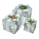 Set 3 cutii decorative cu iluminare LED, argintii *4617 (8)