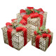 Set 3 cutii decorative cu iluminare LED, auriu *4624 (8)