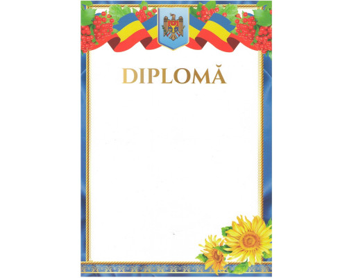 Diploma А4 cu chenar albastru si floarea soarelui N*