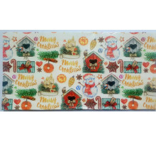 Plic felicitare pentru bani 168x84mm КВ 22-121 (10/300)