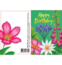 Felicitare cu plic, 70x100 mm, ЛВ 25-61 (10) (10/300)