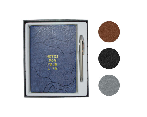 Set agenda nedatata + pix in cutie, 4 culori *3563 (40)