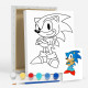 Set de pictat pe pânză pentru copii 20x25 "Sonic" +6vopsee +pensula 7028