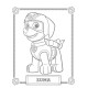 Set de pictat pe pânză pentru copii 20x25 "Paw Patrol Zuma" +6vopsee +pensula 7032