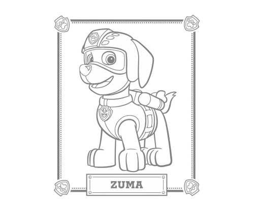 Набор детский для рисования на холсте 20*25 "Paw Patrol Zuma" +6 красок +кисточка 7032