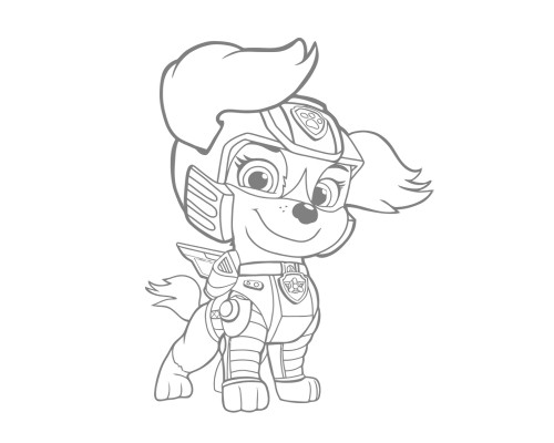 Набор детский для рисования на холсте 20*25 "Paw Patrol Rubble" +6 красок +кисточка 7034