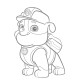 Набор детский для рисования на холсте 20*25 "Paw Patrol Rubble" +6 красок +кисточка 7035