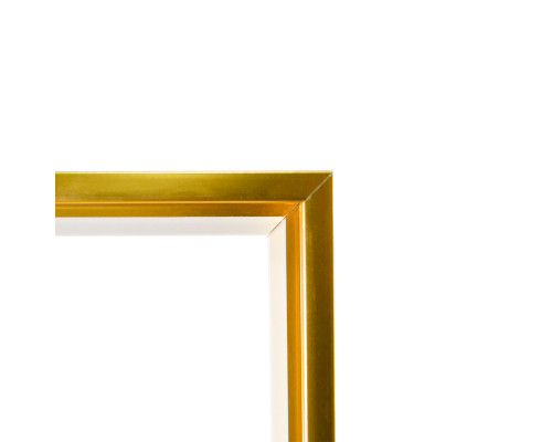 Рама для картины 30*40см, золото F2516-2
