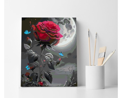 Set pictură pe numere 40*50 "Trandafir nocturn" 4697