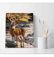 Set pictură pe numere 40*50 "Cerbr" 3763