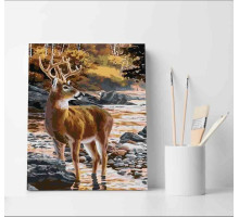 Набор для рисования по номерам 40*50 "Олень" 3763