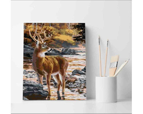 Set pictură pe numere 40*50 "Cerbr" 3763