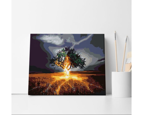 Набор для рисования по номерам 40*50 "Молния" 1122