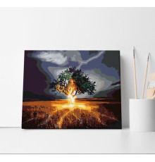 Set pictură pe numere 40*50 "Fulger" 1122