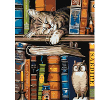 Набор для рисования по номерам 60*80 "Кот-книголюб" 4541