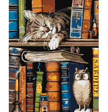 Набор для рисования по номерам 60*80 "Кот-книголюб" 4541