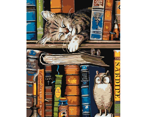 Набор для рисования по номерам 60*80 "Кот-книголюб" 4541
