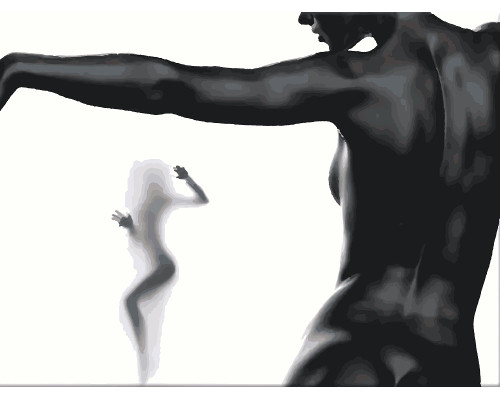 Набор для рисования по номерам 60*80 "Черная грация" 2943