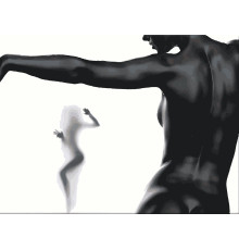 Набор для рисования по номерам 60*80 "Черная грация" 2943