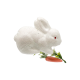 Decoratiune Iepure+morcov 1buc (Alb) ES-45 194109