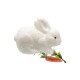 Decoratiune Iepure+morcov 1buc (Alb) ES-45 194109