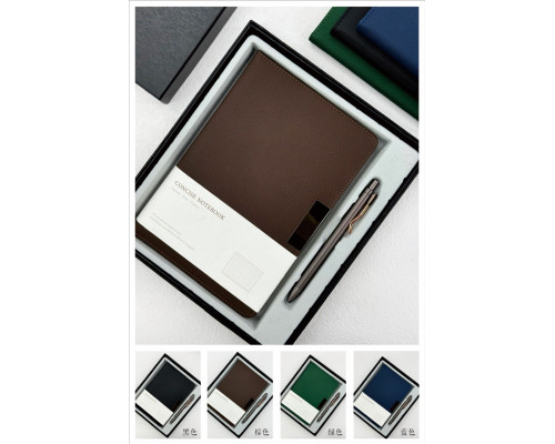 Set agenda nedatata cu magnet + pix in cutie, 4 culori, S19-70 (40)