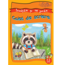 Copilasi isteti. Invatam si ne jucam. 5-6 ani. Caiet de scriere 132741 C*8086
