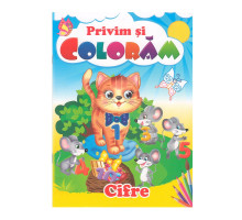 Privim si coloram Cifre. N*9515