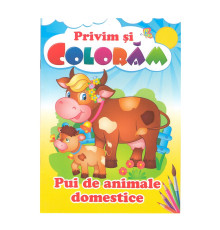 Privim si coloram Pui de animale domestice. N*9522