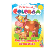 Privim si coloram Pui de animale domestice. N*9522