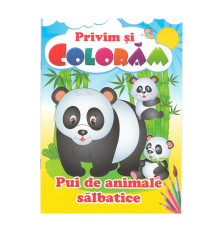 Privim si coloram Pui de animale salbatice. N*9508