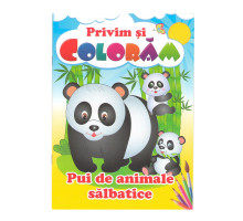 Privim si coloram Pui de animale salbatice. N*9508