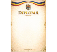 Diploma А4 cu chenar bej U21 (100)