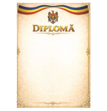 Diploma А4 cu chenar bej U21 (100)