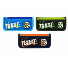 Penar 2despartituri 22x9cm "TRUST", asorti, 68113 (48/288)