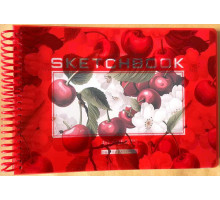 Скетчбук A5, спираль, 40 л, 100г/м2, Пластиковая обложка N9669 (80)