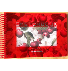Скетчбук A5, спираль, 40 л, 100г/м2, Пластиковая обложка N9669 (80)