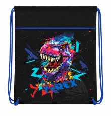 Geanta pentru incaltaminte,46*33cm "T-Rex" 2606C, CLASS