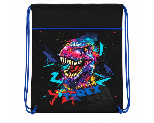 Geanta pentru incaltaminte,46*33cm "T-Rex" 2606C, CLASS