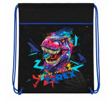Geanta pentru incaltaminte,46*33cm "T-Rex" 2606C, CLASS