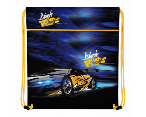 Geanta pentru incaltaminte,46*33cm "Car" 2610C, CLASS