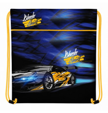 Geanta pentru incaltaminte,46*33cm "Car" 2610C, CLASS