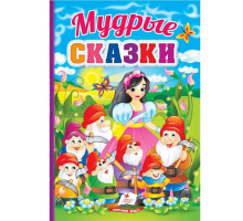 Мудрые сказки. Первые знания малыша N*5244