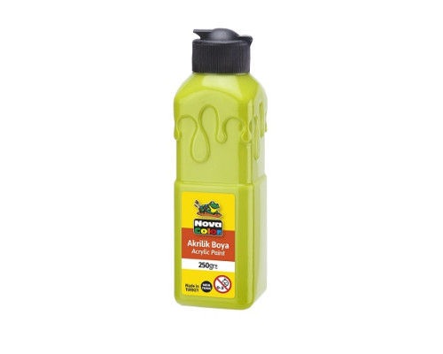 Vopsea acrilica 250ml verde fistic NC-3027 (6/48)