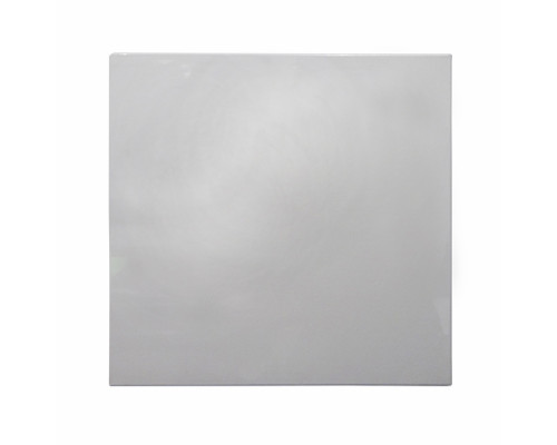 Panza alba pe targa 50x50сm A*4483 Panza alba pe targa 50x50сm A*4483