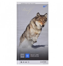 Блокнот 100*200/64лс. клетка, "Wild force" YES 151475 (3/60)