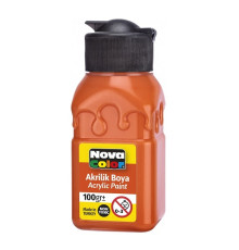 Vopsea acrilica 100ml oranj NC-2017 (6/72)