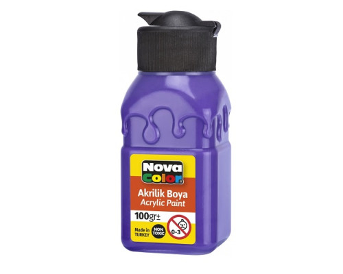 Vopsea acrilica 100ml violet NC-2018 (6/72)